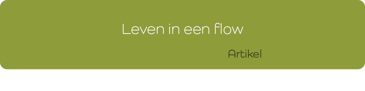 Leven in Flow