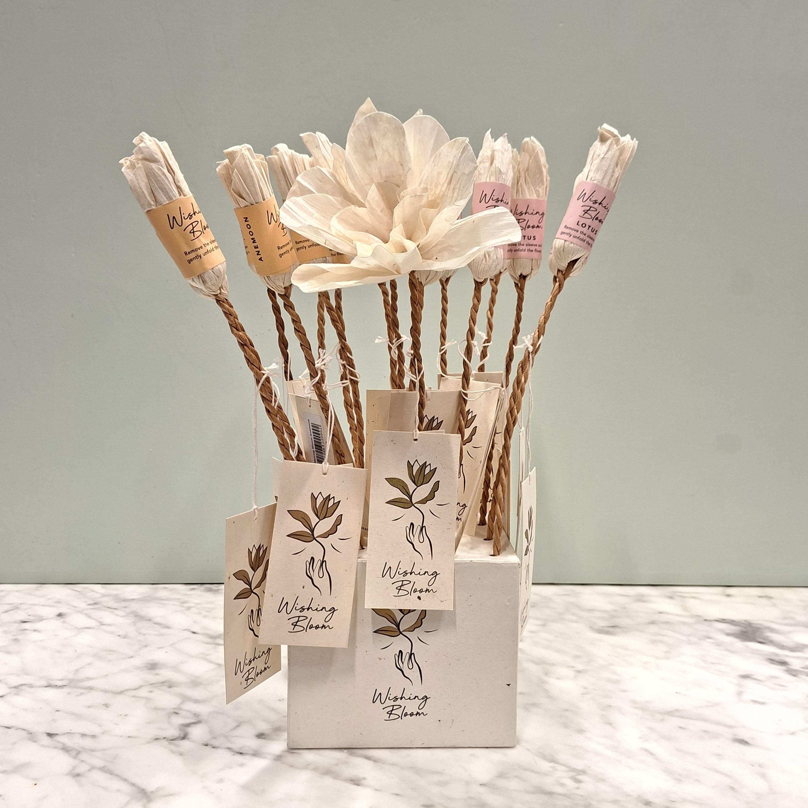 Wens Bloem | Display