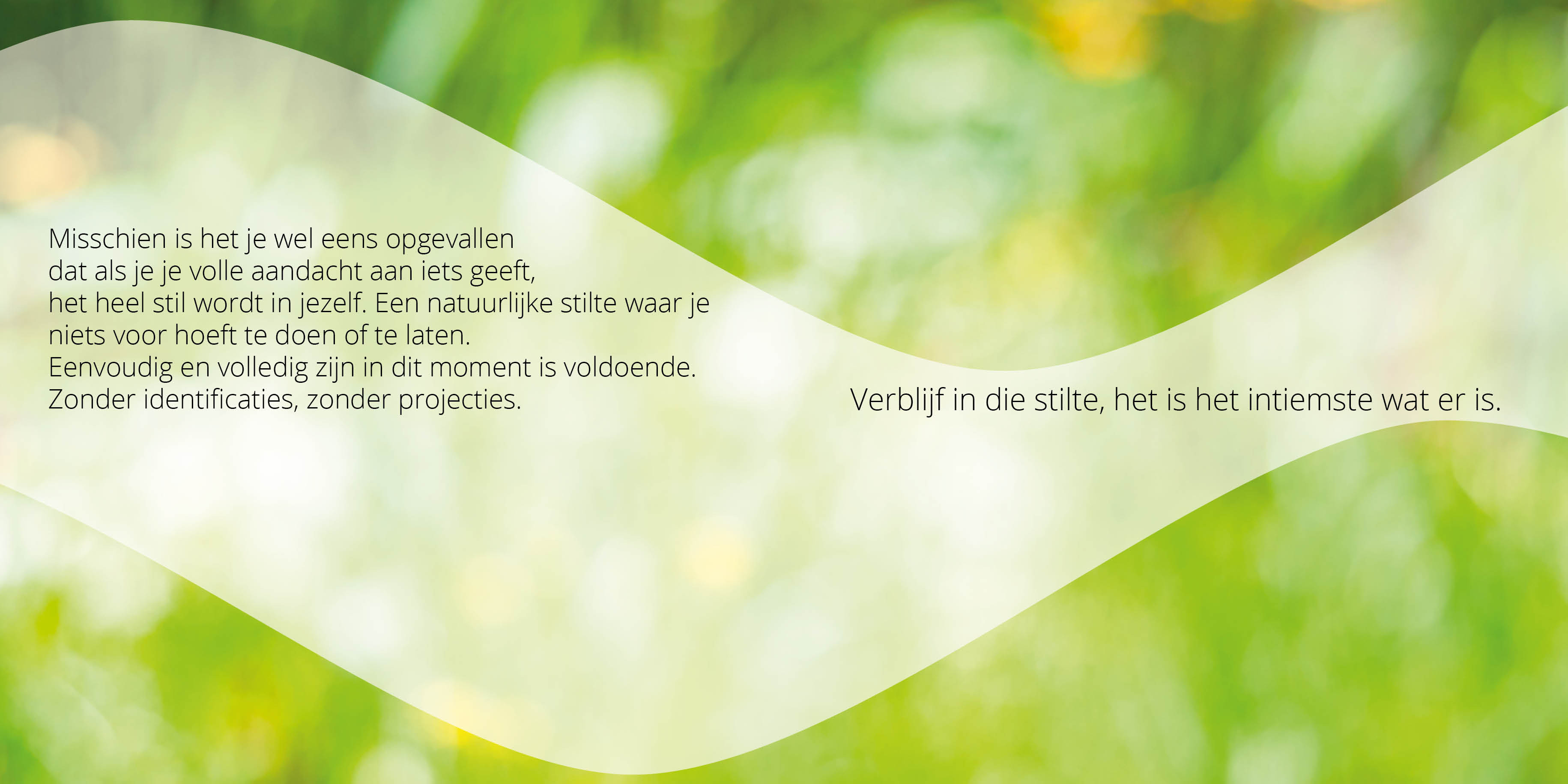 Stilte Momentjes boek