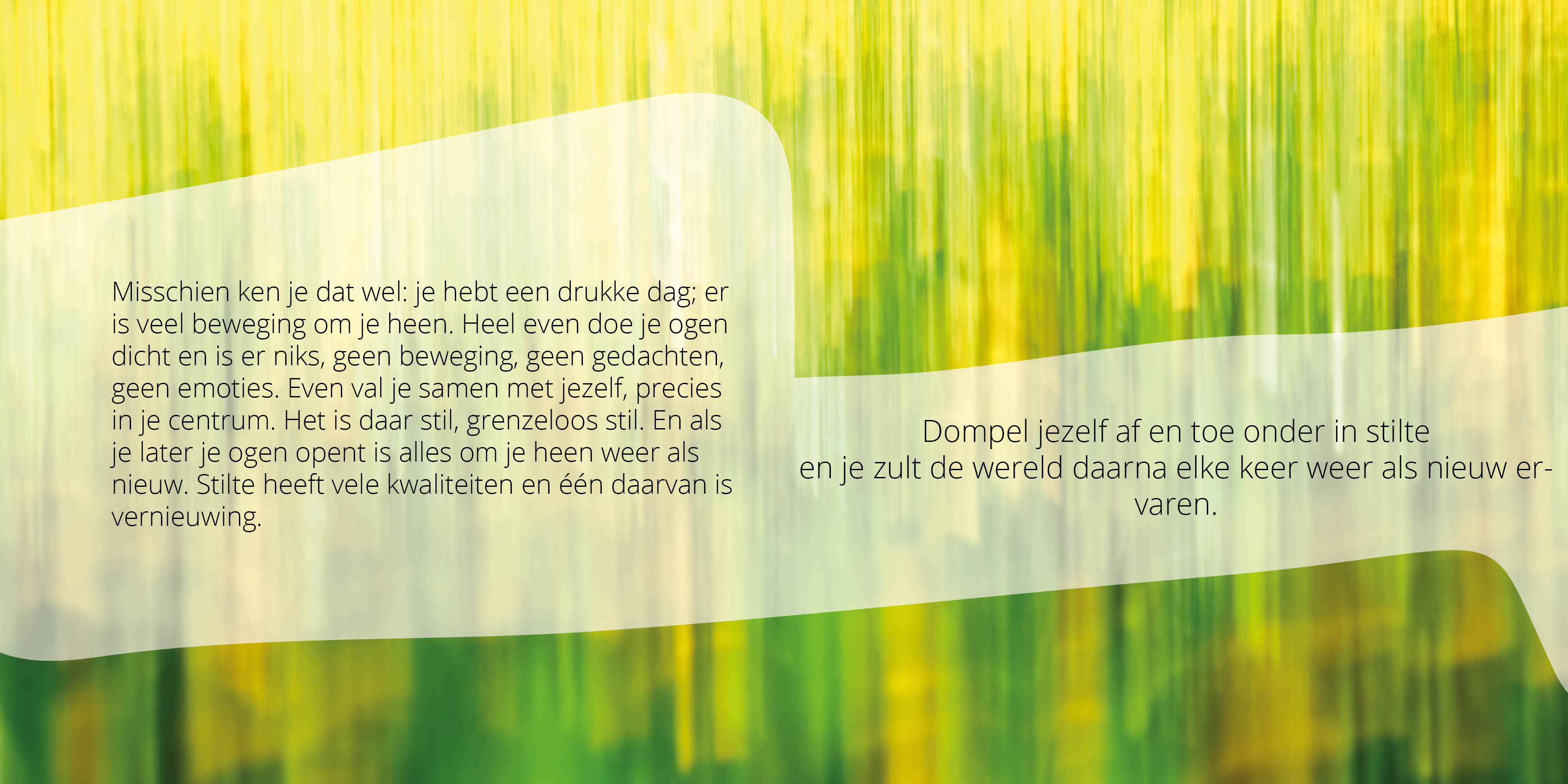 Stilte Momentjes boek