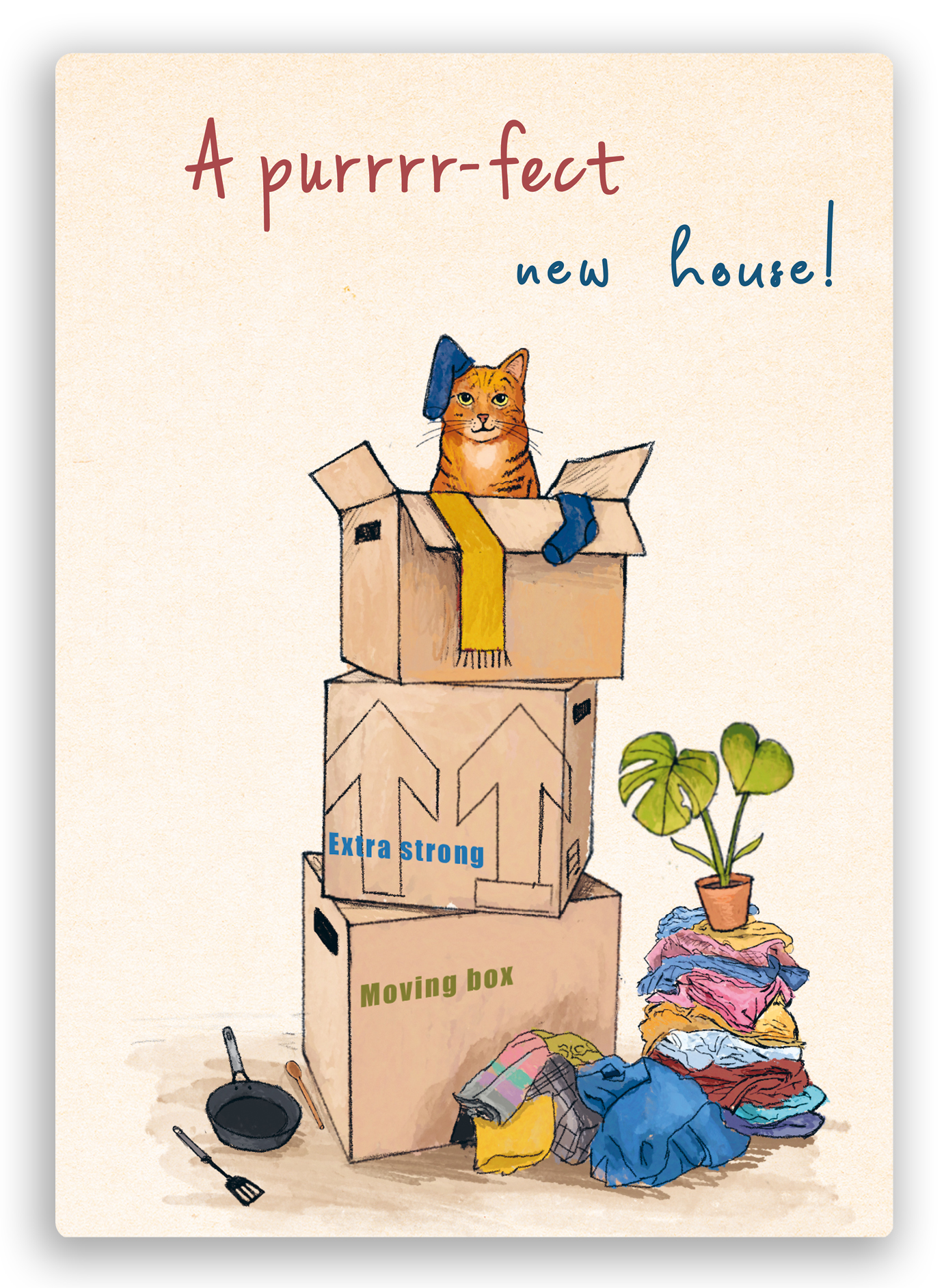 postkaart met een kat in een verhuisdoos, met de tekst een perfect nieuw huis