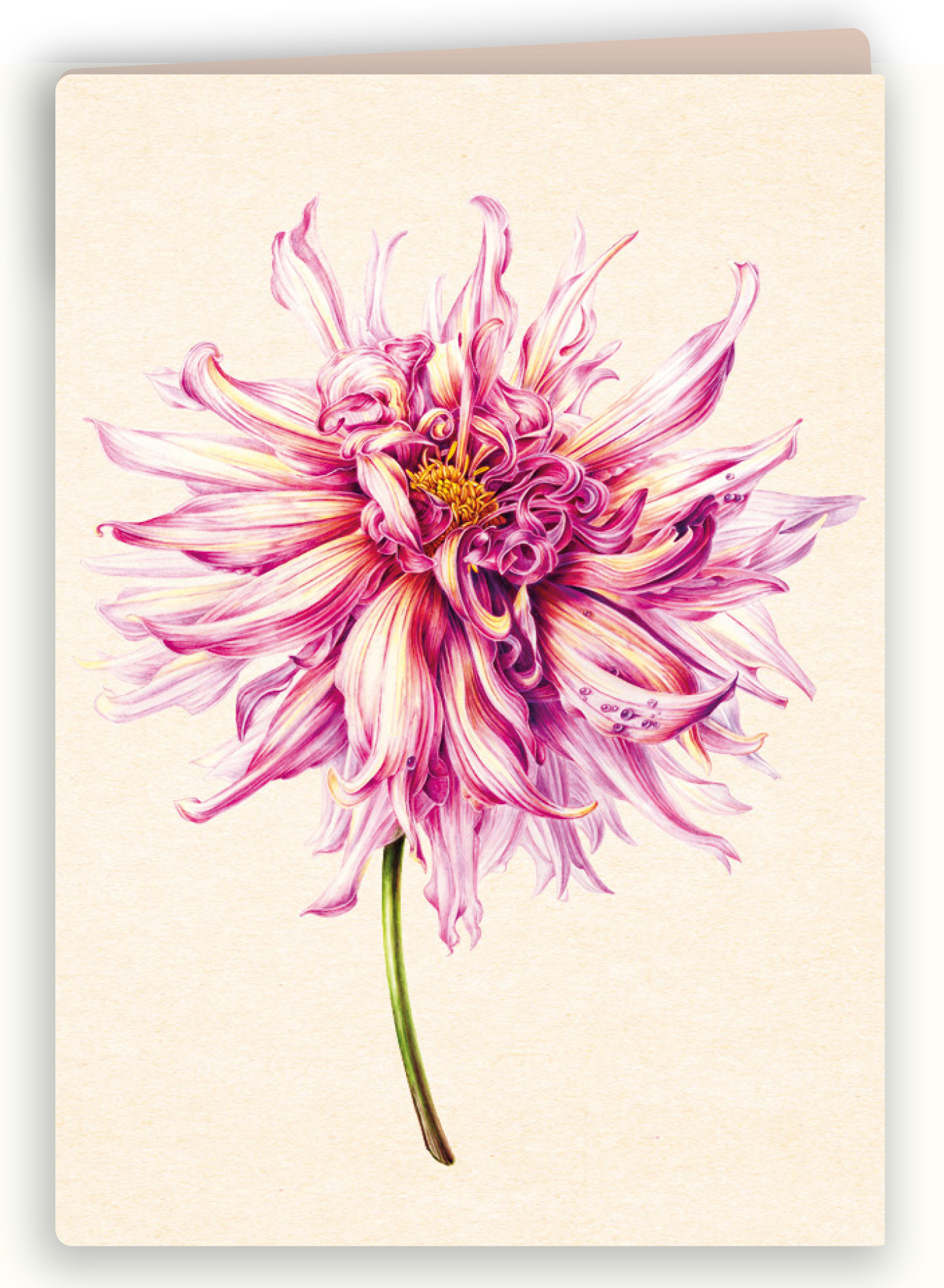 Botanische kaart 23