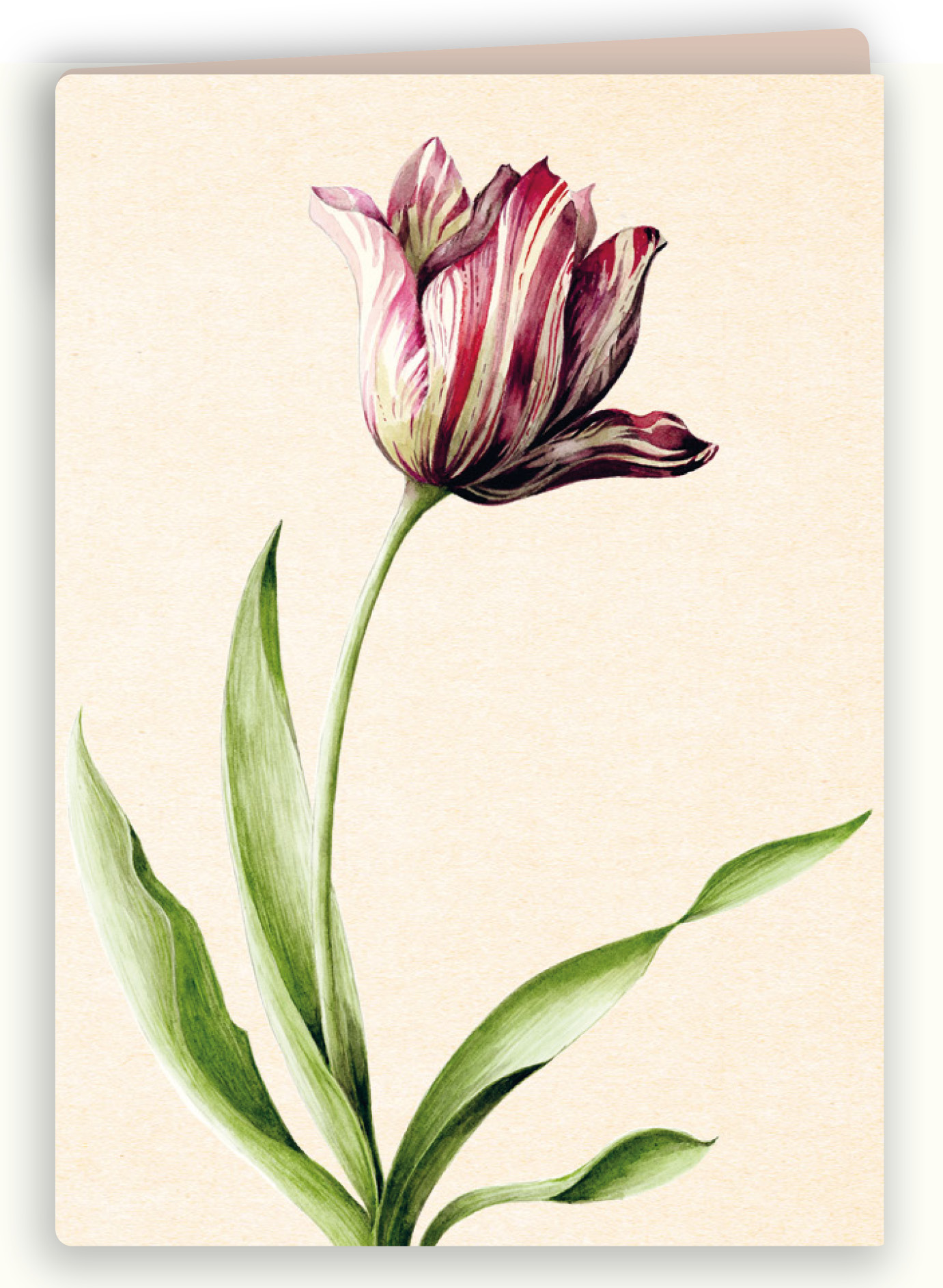 Botanische kaart 24