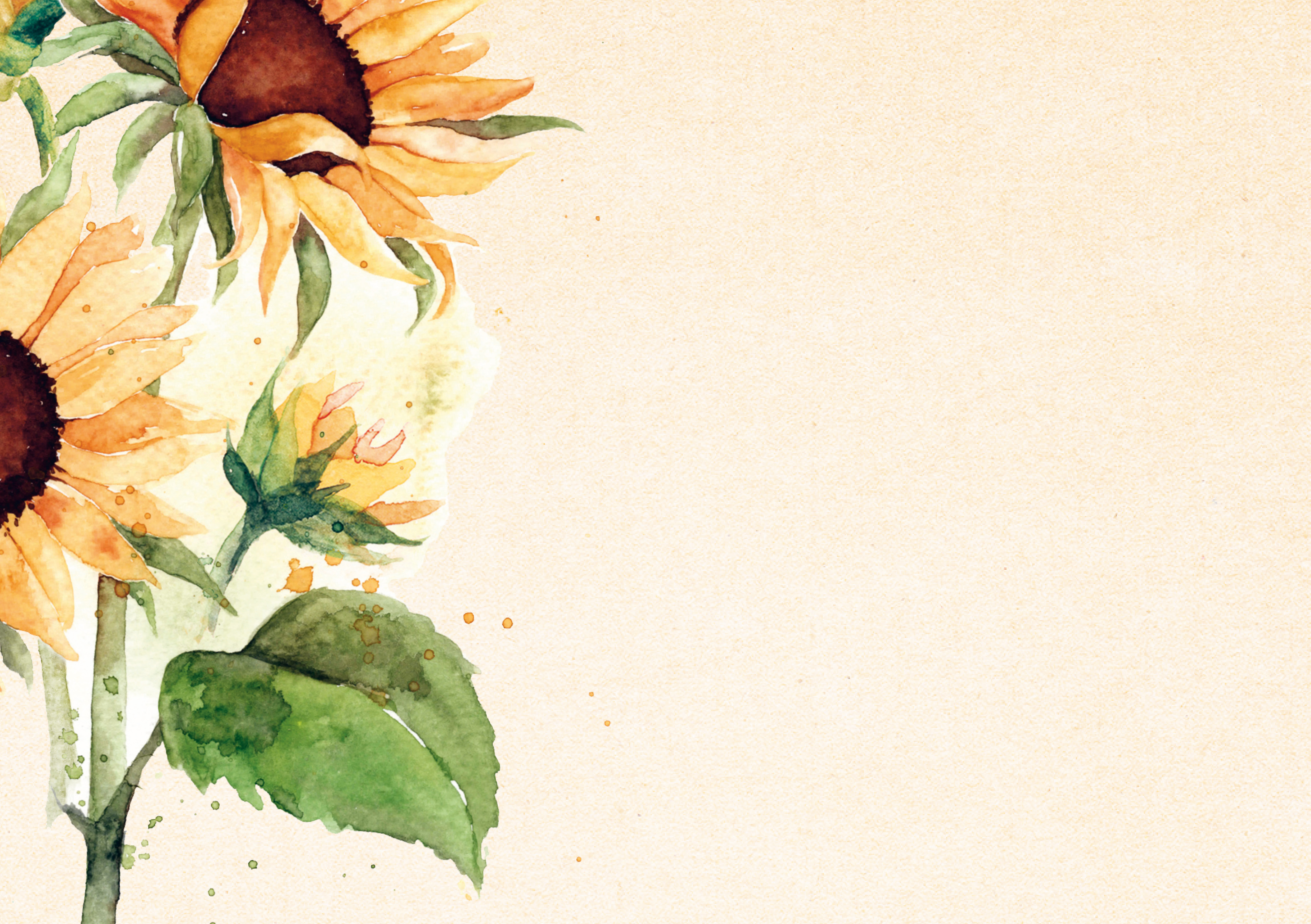 Botanische kaart 56