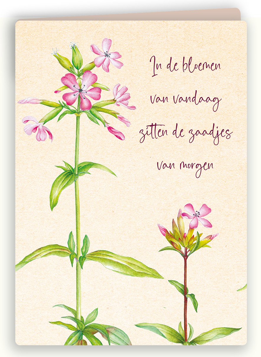 Botanische kaart 58