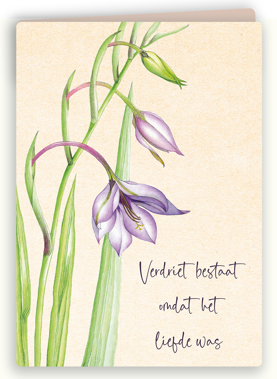 Botanische kaart 60