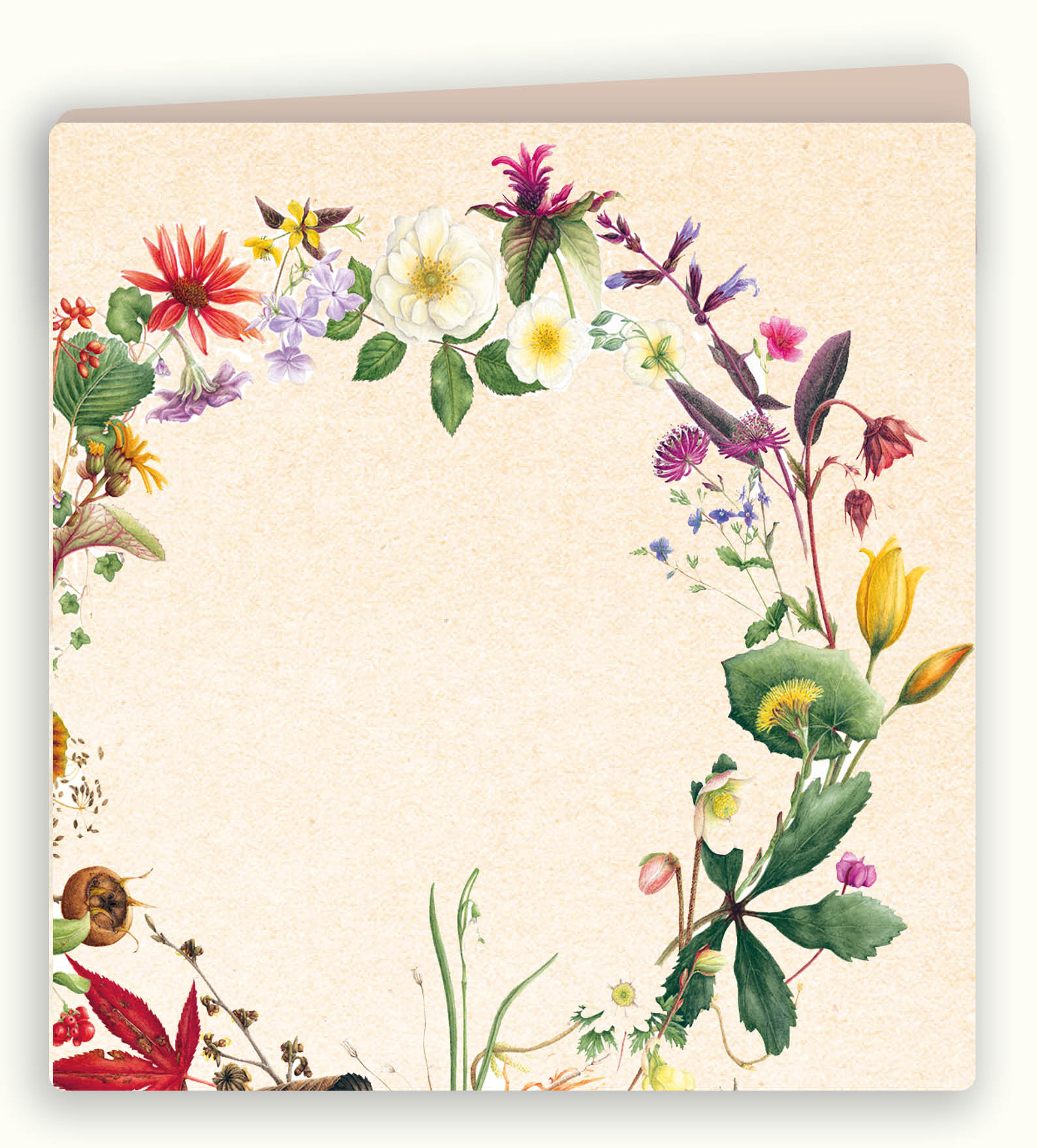 Botanische wenskaart 66
