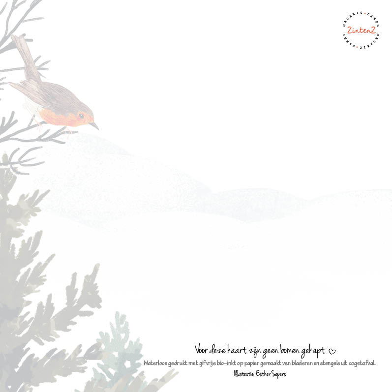 Kerst Kaarten Set 22