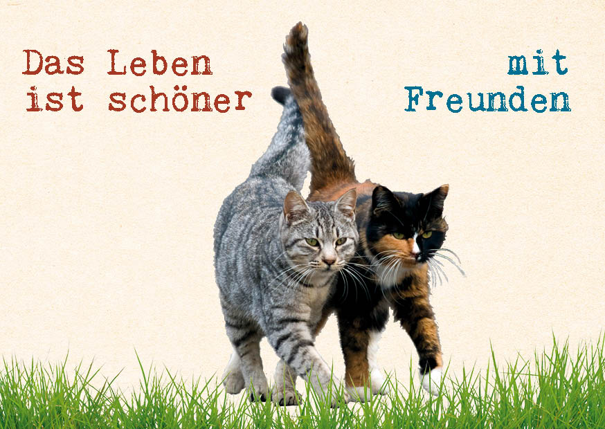 TLD16 Deutsch