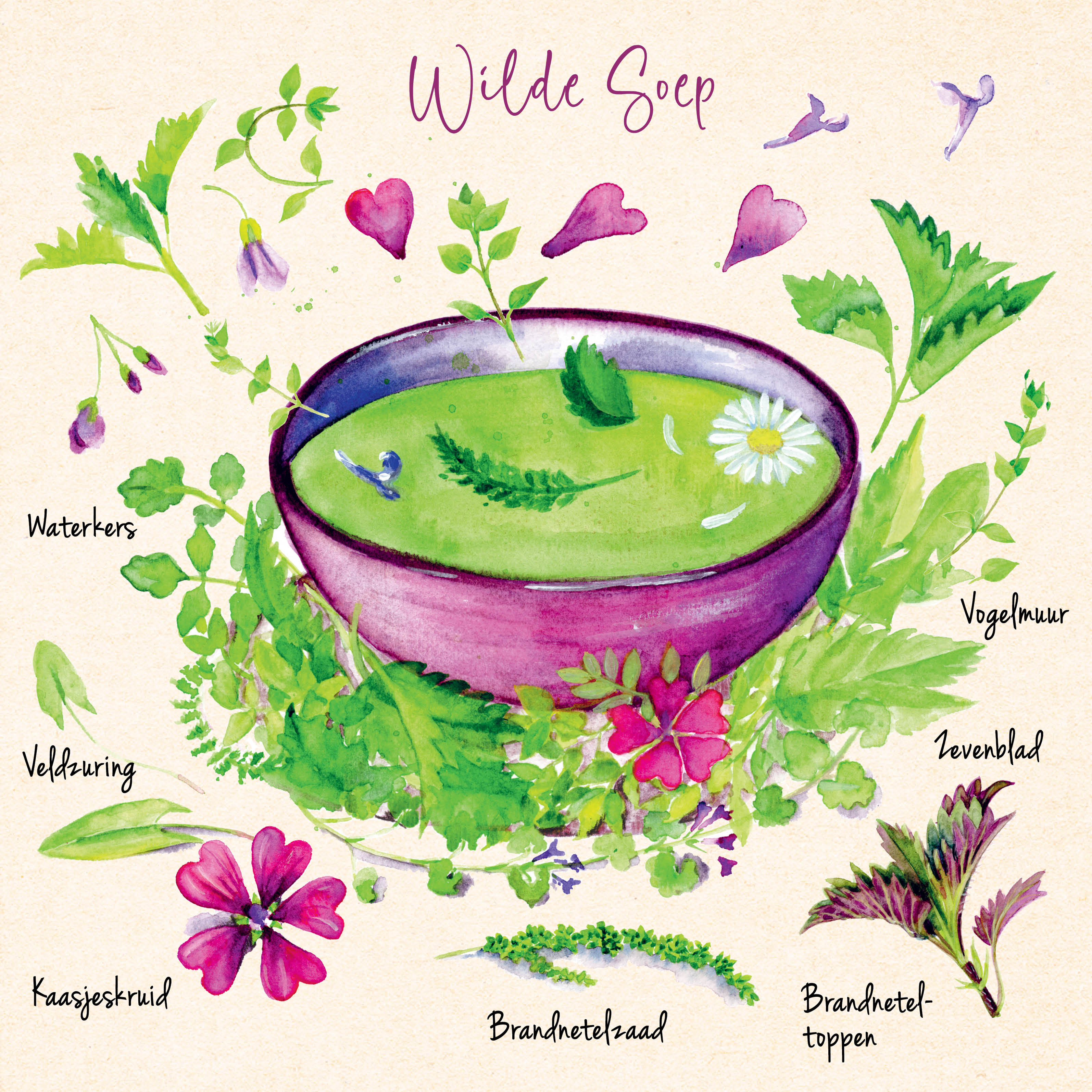 Tanja's Wildpluk Recepten