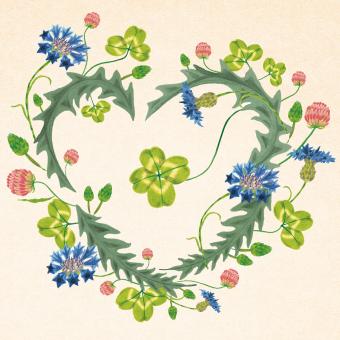 images/productimages/small/ch02.jpg