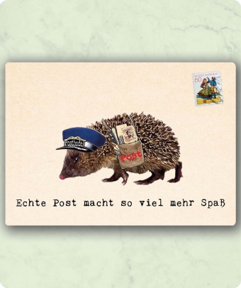 images/productimages/small/kvcd01.jpg