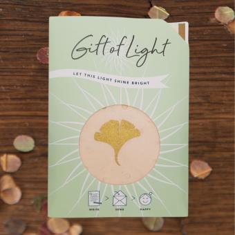 images/productimages/small/sfeer-ginkgo.jpg