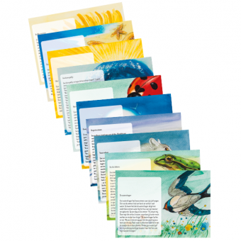 images/productimages/small/verhalenkaart.png