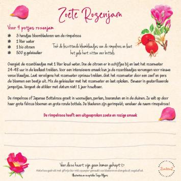 Tanja's Eetbare Bloemen Recepten