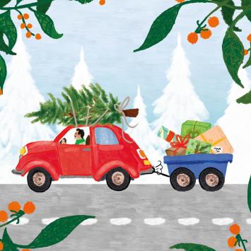 Kerst Kaarten Set 22