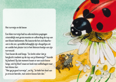  10 Verhalenkaarten in mapje - kopie